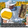 10pcs Bee Wax Foundation Bee Hive Wax Frames Base Sheets Bee Comb Honey Frame Beeswax Sheets Beekeeper Equipment