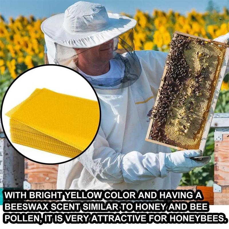 10pcs Bee Wax Foundation Bee Hive Wax Frames Base Sheets Bee Comb Honey Frame Beeswax Sheets Beekeeper Equipment