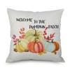 Pumpkin Thanksgiving Throw Pillow Cover Pillowcase Decorative Sofa Cover Cushion