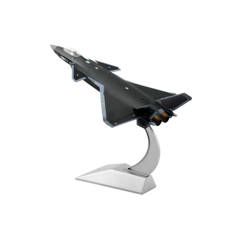 J-20 Fighter Jet Model 1:48 Scale