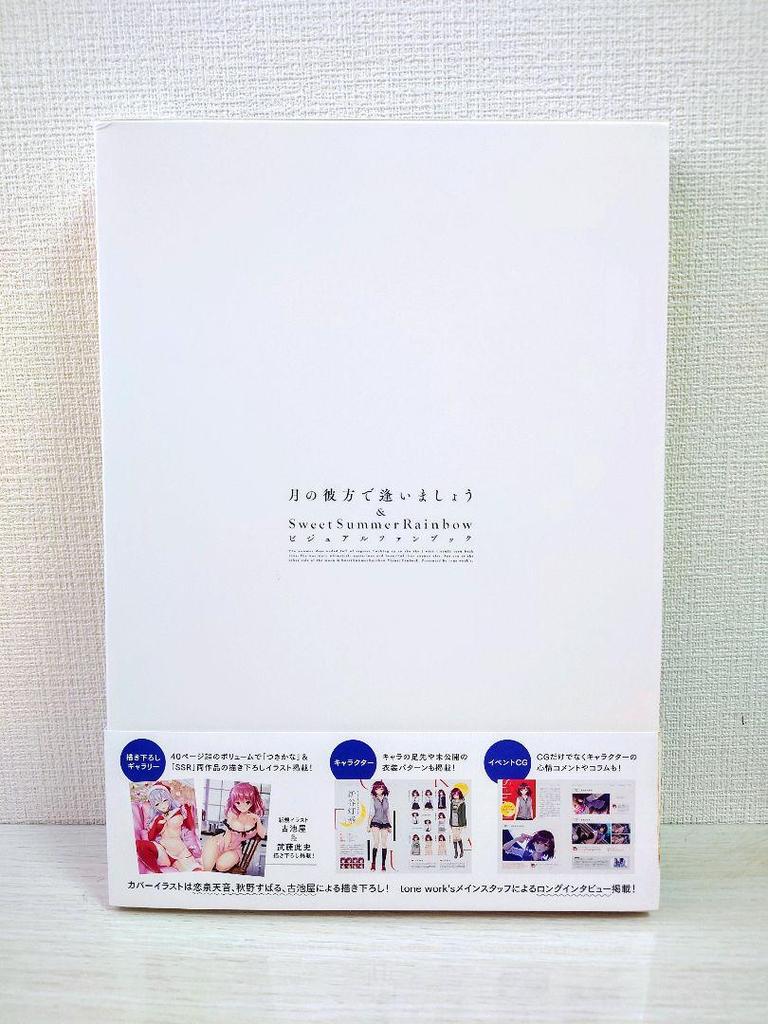 [USED] Super rare Let's meet beyond the moon visual fan book