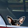 Miniature Pinscher Vinyl Sticker, 15x8cm Waterproof Decal for Car Motorcycle Decor