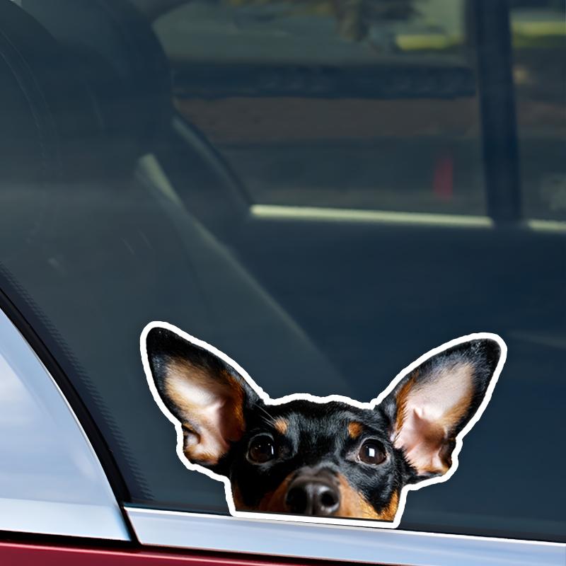 Miniature Pinscher Vinyl Sticker, 15x8cm Waterproof Decal for Car Motorcycle Decor