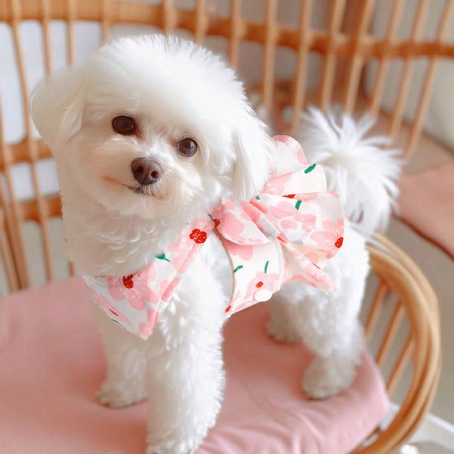 Pet Kitty/Puppy Princess Style Leash Dress, Suitable for Munchkin, Ragdoll, Scottish Fold, Poodle, Samoyed, with Attached Leash