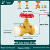 Full Copper Gate Valve for PPR, PE, and Tap Water Pipes - 20mm, 25mm, 32mm Double Union, Hot Melt Compatible.