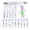 Diagramma Accordi Dita Flauto Studente Principiante Ausili Didattici per la Pratica Accessori Strumento