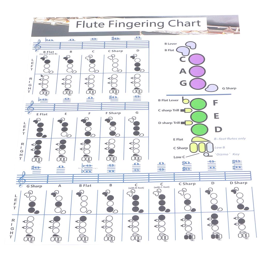 Diagramma Accordi Dita Flauto Studente Principiante Ausili Didattici per la Pratica Accessori Strumento