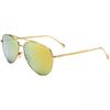 ISabel Marant Women S 60 Mm Brown SunglaSSeS Yellow
