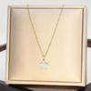 Stainless Steel Women's Luxury Diamond Star Pendant Necklace