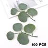 Artificial Greenery Branches Faux Floral Arrangements Faux Leaves Stems  for Wedding Bouquets