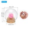 PATIKIL 6-Piece Round Cloche Glass Domes and Bell Jars with Cork Base for Display, 43 X 70 Mm
