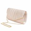 Cireneon Pleated Clutch Bag with Chain, Women's, Wedding, Party, Formal, 2-Way (Champagne Gold)