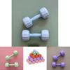 Charming Pink Orange And Blue Dumbbells For Women Ideal For Home Workouts