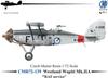 Czech Master Resin British Westland Wapiti Resin Kit 1/72 Mk.IIA CMR72-139 (Aircraft)