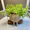 Cute Smiley Face Swing Succulent Pot – Creative Hanging Hydroponic Planter for Balcony Decoration