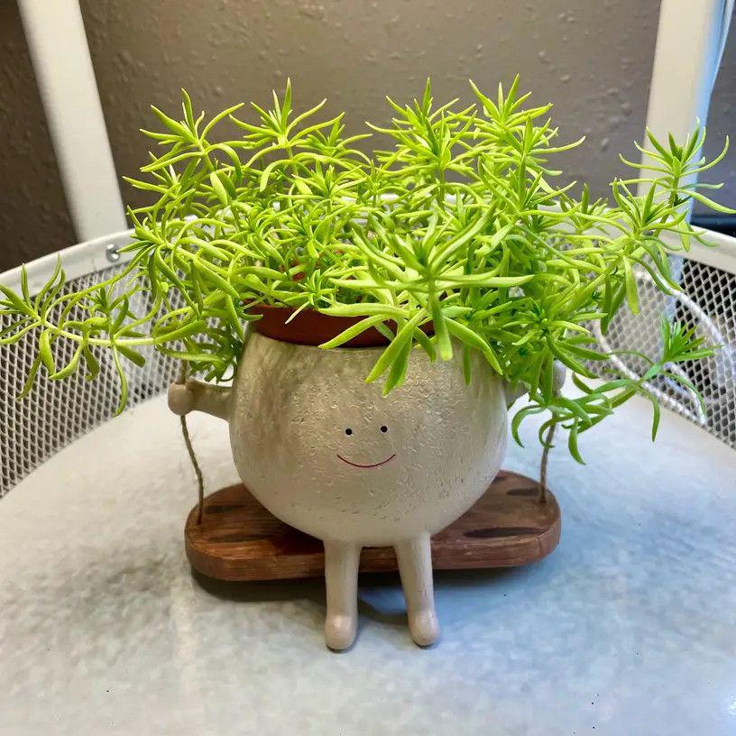 Cute Smiley Face Swing Succulent Pot – Creative Hanging Hydroponic Planter for Balcony Decoration