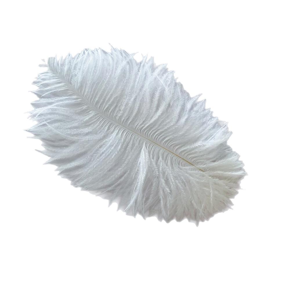 Color ostrich hair 15-20CM ostrich feather Internet celebrity photo background wall feather cake flower arrangement DIY decoration