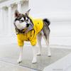 Wasserdichter Hundemantel für kleine, mittelgroße und große Hunde, Katzen, Haustier-Regenmantel, Hundesport-Kapuzenpullover, Haustiermode, hochwertige Kleidung