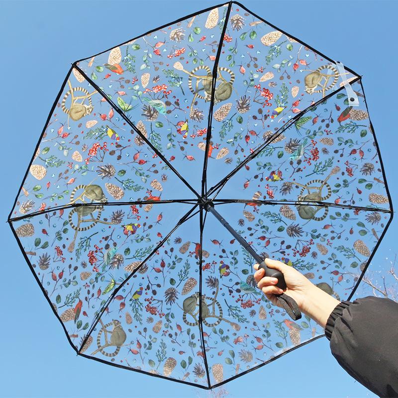 Retro Window Flower Pattern Transparent Umbrella Fully Automatic Opening and Closing Portable Travel Transparent Kids Umbrella