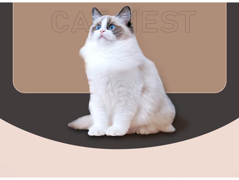 Fashionable Enclosed Cat Bed & Litter Box – Anti-Splash Design for Large Cats