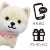 Traveling Mameshiba Mascot Shiba Soothing Cushion, Cute, Squishy, Fluffy, Inu, Mameshiba, (White, Mameko/Size L)