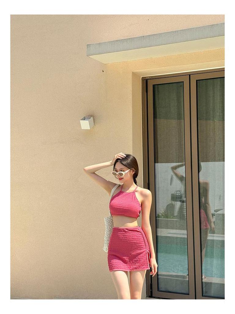 Women's Japanese & Korean Fashion Swimsuit: Simple, Sexy Skirt Style, Small Bust Enhancement, Conservative Beachwear.