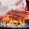 Extra Long BBQ Rib Racks Carbon Steel Grilling Stand Multi-Purpose Ribs Grill  Barbecue Cooking