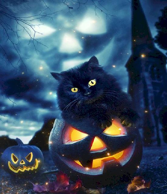 RUOPOTY Painting By Number Cat Animals DIY Frame Acrylic Handpainted Drawing On Canvas Autumn Pumpkin Gift Home Decoration
