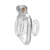 2025 New Male Negative Chastity Cage 4 Colors Cock Cage Abstinence Control Sissy Penis Lock with 4 Size Rings Adult Products