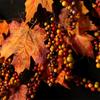 Herbst-Türkranz Herbsternte-Kränze Für Haustür Herbst-Bauernhaus-Kranz Mit Beeren und Ahornblatt Für Draußen