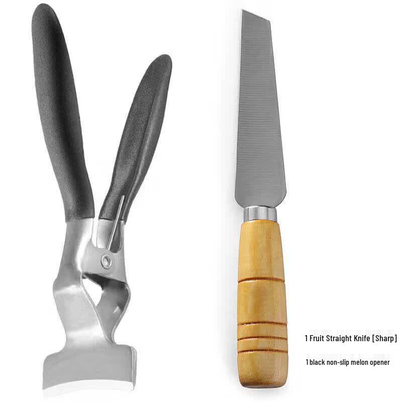 Qiwei Stainless Steel Watermelon Slicer & Divider Tool