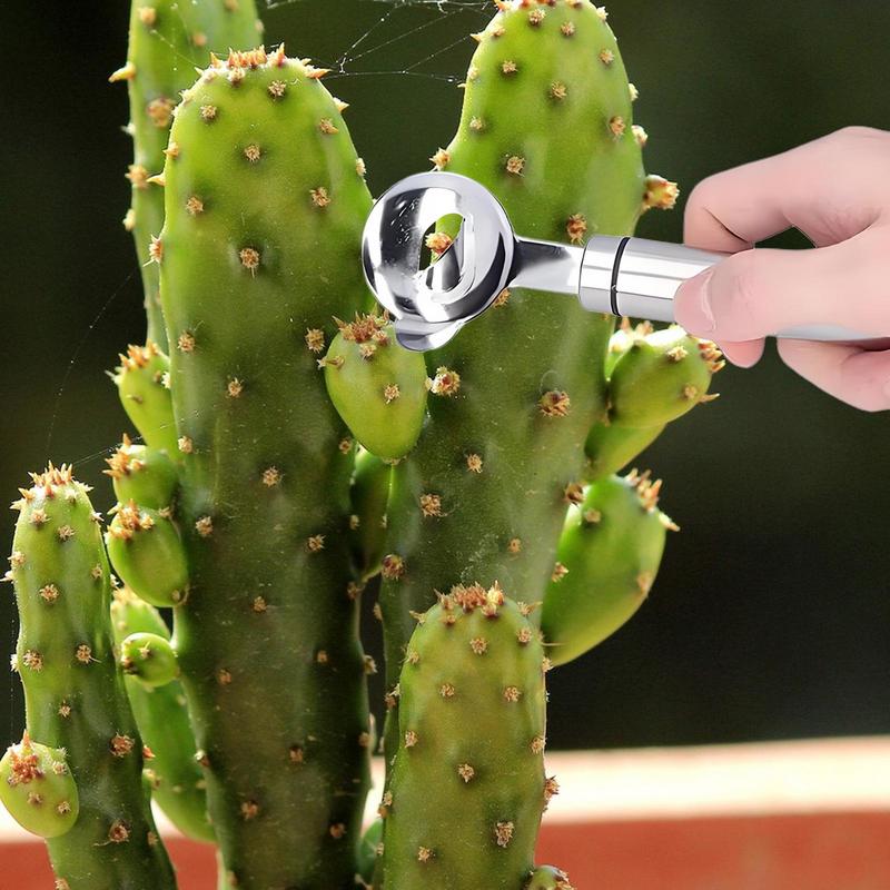 Home Kitchen Tool Peeler Multifunctional Stainless Steel Nopal Peeler Kitchen Accessories for Sliced Thorn Hole Mexican Cooking