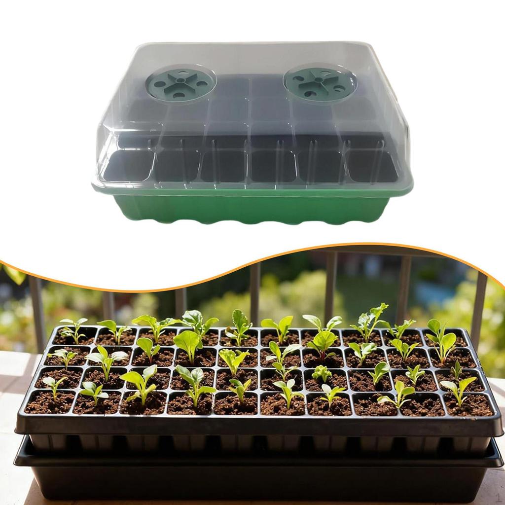 Plant Starter Tray Germination Transparent,Propagation with Drainage Holes Sprouting Container