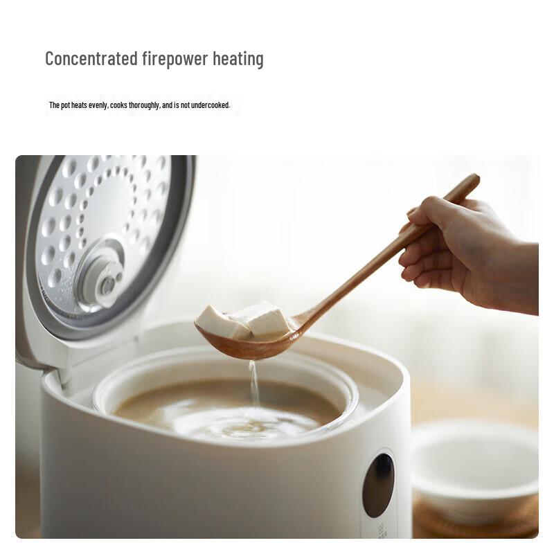 Olayks Smart Multifunctional Electric Rice Cooker CN Plug (adapter Included)