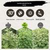 Mugwort 2 lbs