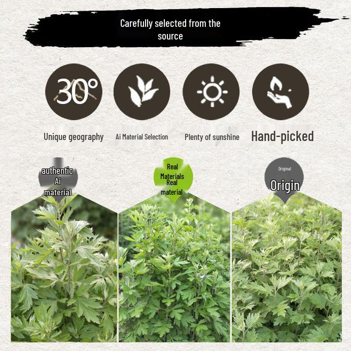 Mugwort 2 lbs