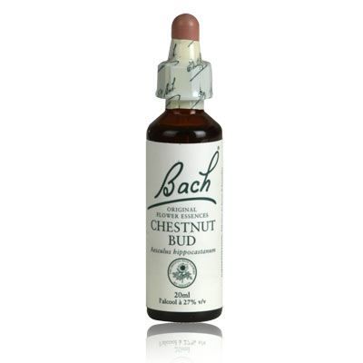Fleurs De Bach N°07 Chestnut Bud - Bourgeon De Marronnier d'Inde 20ml
