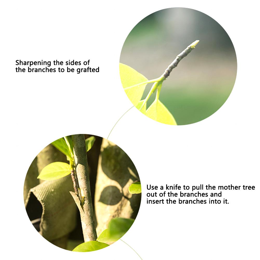 2PCS Plants Repair Budding Tape 2.5cmx100m Garden Grafting Tape