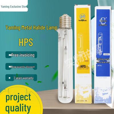 Shanghai High-Pressure Sodium/Metal Halide Lamp Bulb JLZ 100W-1000W
