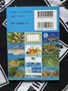 Pokemon Postcard Book Great Adventure 2 Pikachu's (Shogakukan)