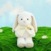 Ear Hanging Shawl Rabbit Plush Toy Clothes Can Be Disassembled Holiday Kids Gift