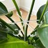 4PCS Plant Anti-Toppling Support Pole - Folding Green Plant Fixator Flower Hydroponic Garden Accessories ZWLZJ02