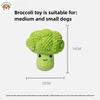 New dog sound toy molar teeth cleaning simulation broccoli plush doll medium-sized dog boredom relief artifact pet products
