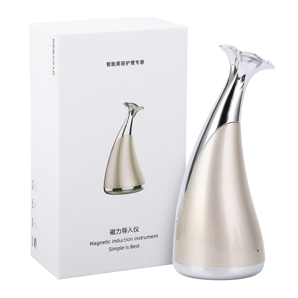 Magnetisk ansiktsskjønnhetsmaskin Vibrasjonsmassasje Fremme Absorpsjon Ion Hudforyngelsesenhet