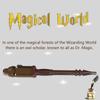 Magische Welt Eule Doktor Zauberbuch und Lichter Bausteine Steine Tiermodelle Jungen Bauspielzeug Kinder Weihnachtsgeschenke