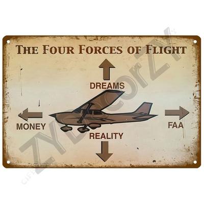 Funny Airplane Tin Sign, Metal Wall Decor 20x30cm