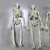 Craft Haunted House Mini Skeleton Figurines Decoration Props Small Skeletons  Outdoor Ornaments