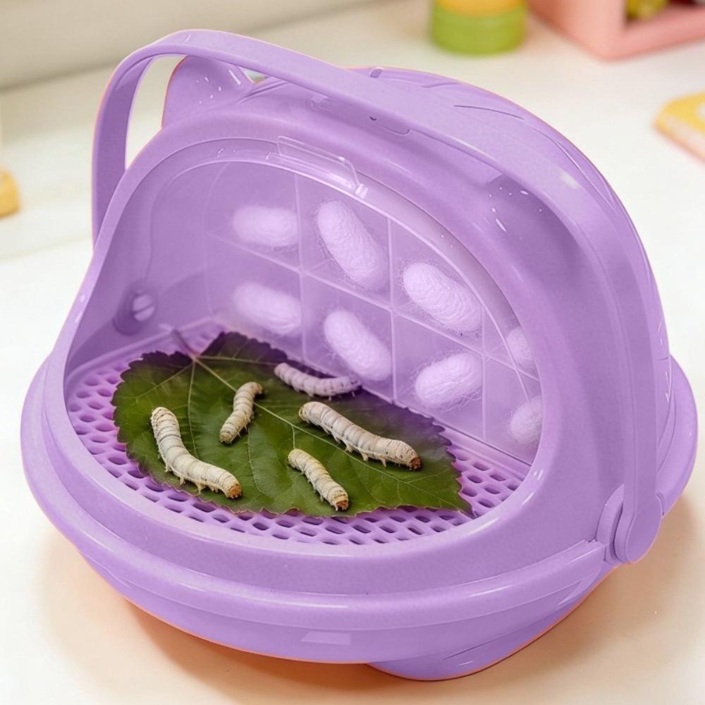 Transparent Silkworm Breeding Box Space Capsule Design Silkworm Baby Warehouse  Student Use фиолетовый