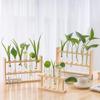 Modern Glass Hydroponic Vase with Wood Frame - Simple Desktop Decor for New Year