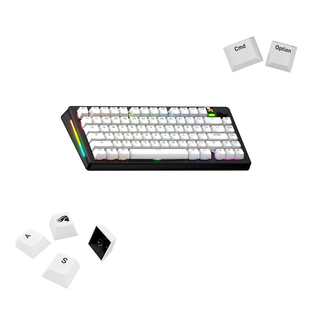 Glorious GPBT Basics Keycaps Classic White - US - Retail GLO-KB-ACC-KC-GPBT-BA-CWHT-US KB0858